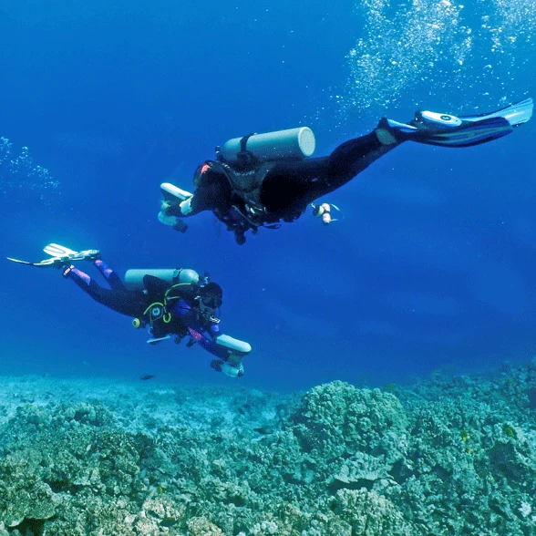 SwimJet™ Kit - Scuba Jet Edition - Image 10